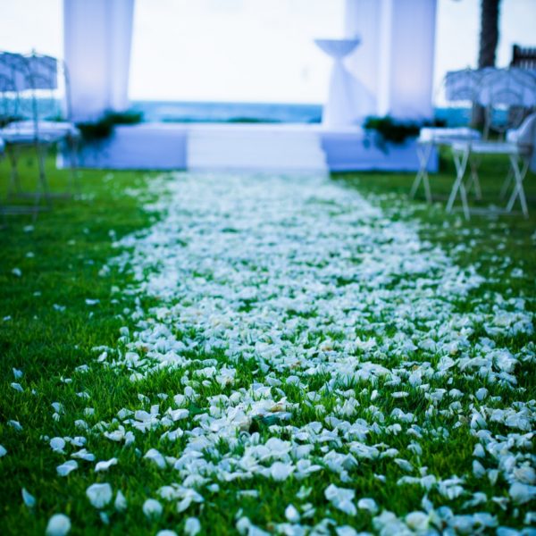 Seaside Wedding