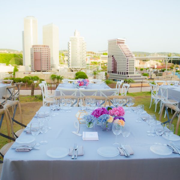 Mini Israel Bat Mitzvah