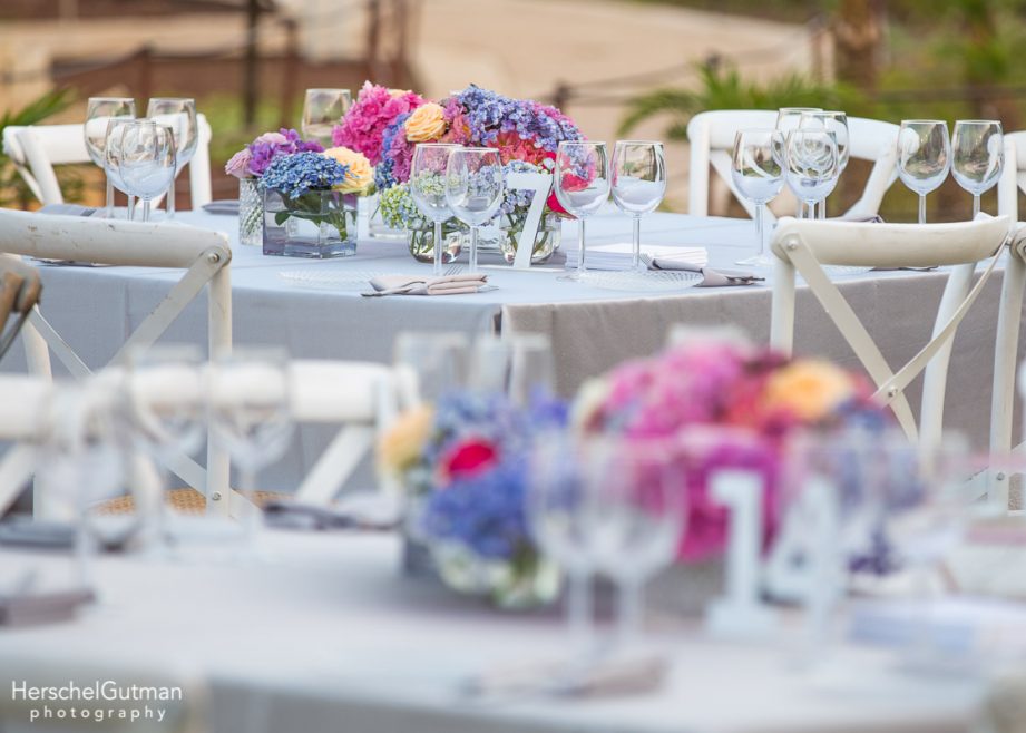 Mini Israel Bat Mitzvah